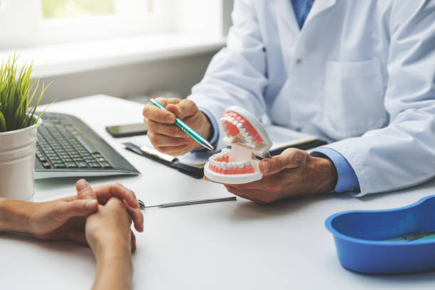 Reliable Bay City, MI Holistic Dental Care Services Solutions